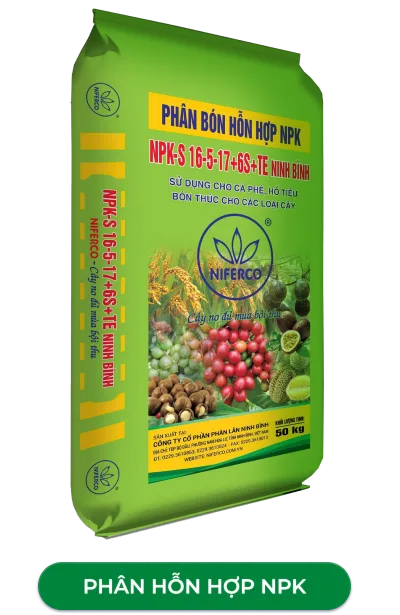 sản phâm 3